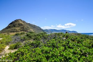 US_Hawaii_Oahu_Kaena-0006
