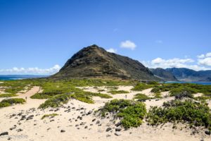 US_Hawaii_Oahu_Kaena-0007