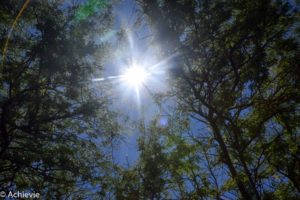 US_Hawaii_Oahu_Kaena-0012