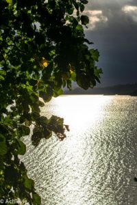 Borneo_AimanBatangAi_Canopy-0001