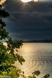 Borneo_AimanBatangAi_Canopy-0002