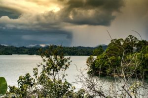 Borneo_AimanBatangAi_Canopy-0004