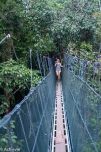 Borneo_AimanBatangAi_Canopy-0007