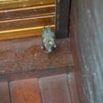 Borneo_AimanBatangAi_Resort-0019