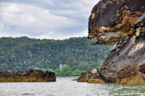 Borneo_Bako_Arrival-0008