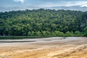 Borneo_Bako_Arrival-0009