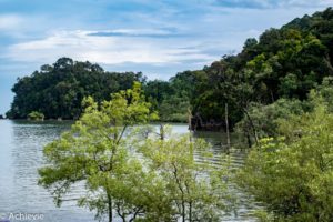 Borneo_Bako_Hike-0001