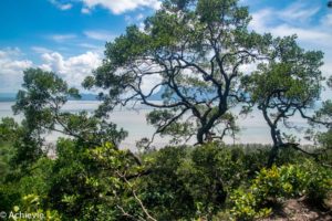 Borneo_Bako_Hike-0002