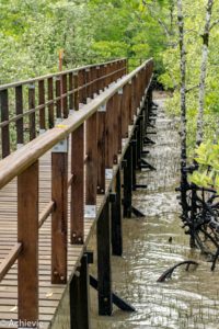 Borneo_Bako_Hike-0003