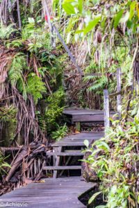 Borneo_Bako_Hike-0005