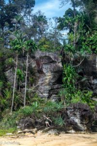 Borneo_Bako_Hike-0016