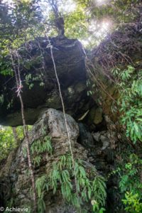 Borneo_Bako_Hike-0018