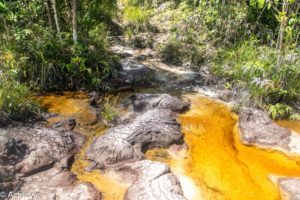 Borneo_Bako_Hike-0024