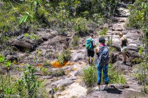 Borneo_Bako_Hike-0025