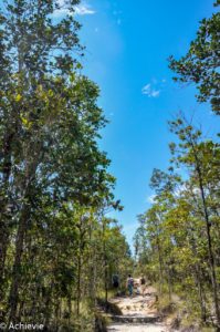 Borneo_Bako_Hike-0026