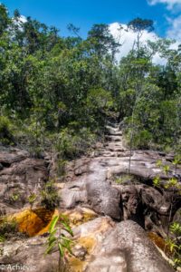 Borneo_Bako_Hike-0029