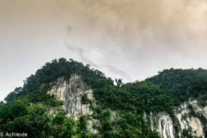 Borneo, Malaysia - Mulu - Gunung Mulu National Park - Bat exodus from Deer Cave