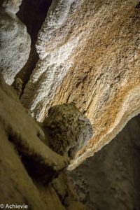 Borneo_Mulu_Clearwater-0002