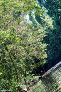 Borneo_Mulu_Clearwater-0012