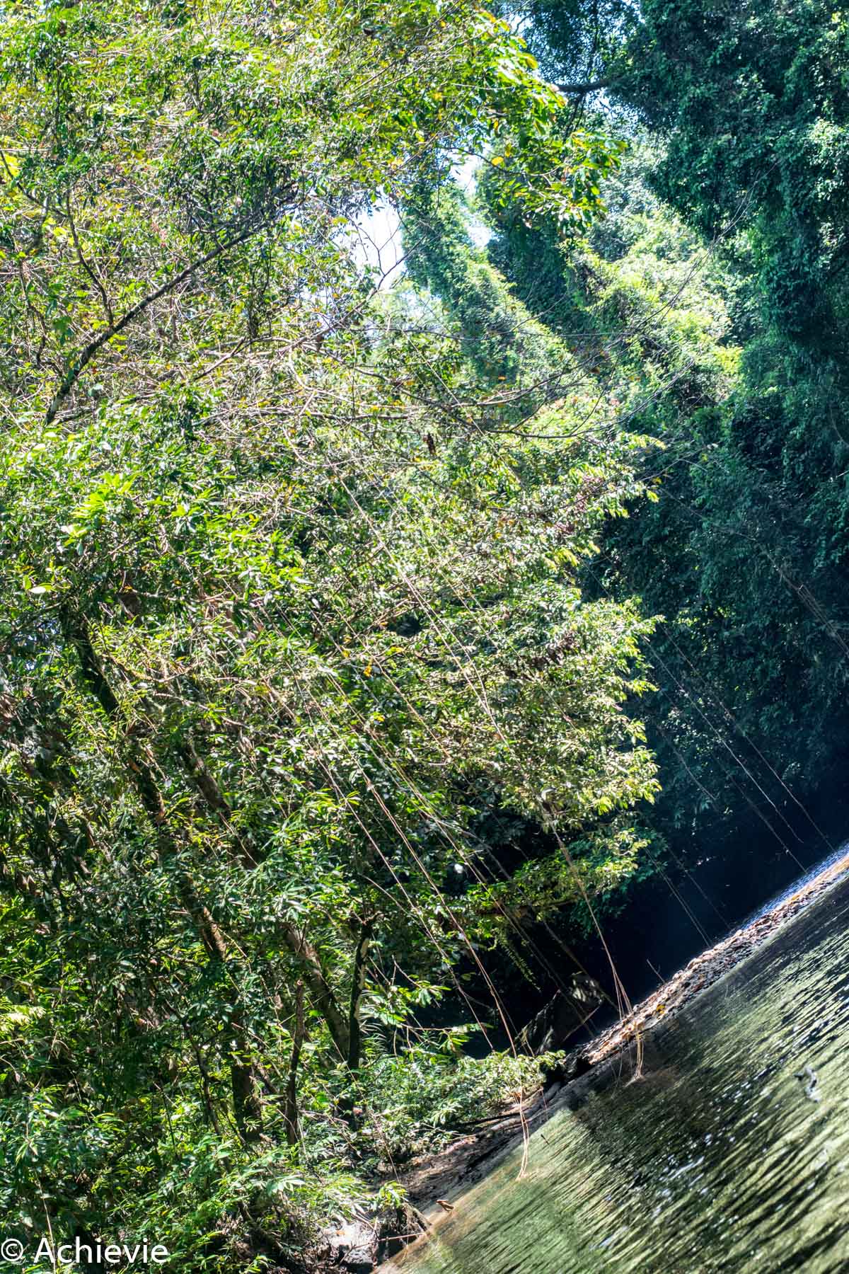 Borneo_Mulu_Clearwater-0012