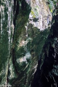 Borneo_Mulu_DeerCave-0001