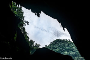 Borneo, Malaysia - Mulu - Gunung Mulu National Park - Deer Cave