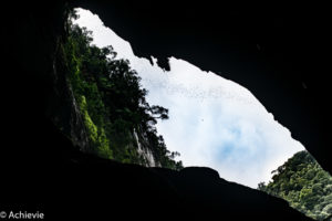 Borneo, Malaysia - Mulu - Gunung Mulu National Park - Deer Cave