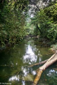 Borneo_Mulu_Hiking-0002