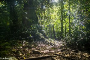 Borneo_Mulu_Hiking-0010