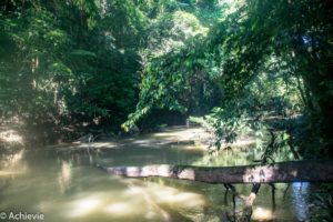 Borneo_Mulu_Hiking-0011