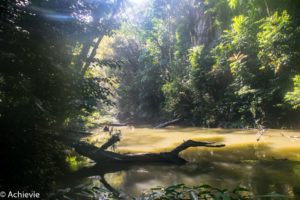 Borneo_Mulu_Hiking-0012