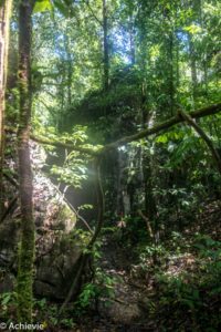 Borneo_Mulu_Hiking-0014