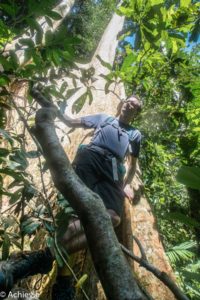 Borneo_Mulu_Hiking-0017