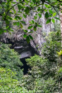 Borneo_Mulu_LangsCave-0001