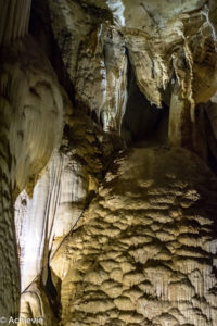 Borneo_Mulu_LangsCave-0003