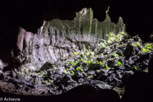 Borneo_Mulu_LangsCave-0008