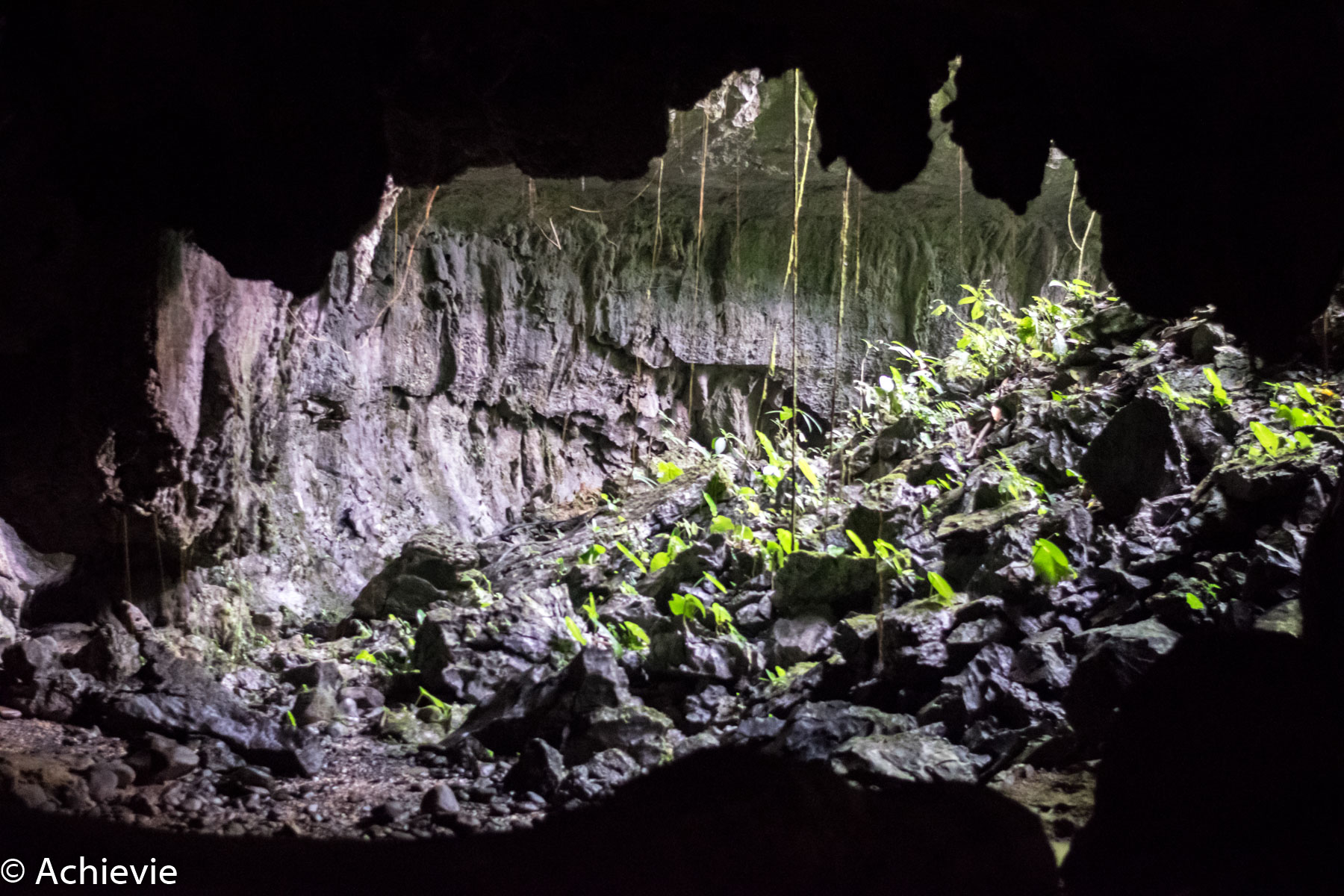 Borneo_Mulu_LangsCave-0008