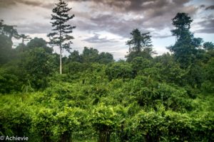 Borneo_Mulu_Marriott-0007