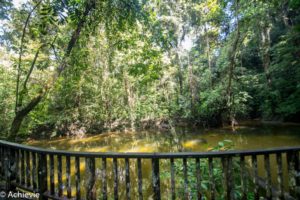 Borneo_Mulu_WindCave-0001