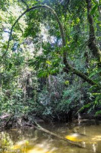 Borneo_Mulu_WindCave-0005