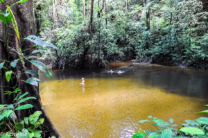 Borneo_Mulu_WindCave-0014