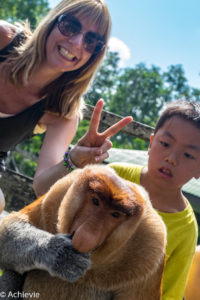 Borneo, Malaysia - Labuk Bay Proboscis Monkey Sanctuary