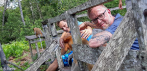 Borneo, Malaysia - Labuk Bay Proboscis Monkey Sanctuary