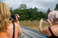 Borneo_Bilit_River-0006