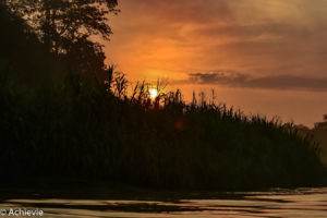 Borneo_Bilit_River-0014