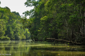 Borneo_Bilit_River-0031