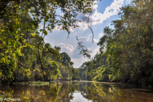 Borneo_Bilit_River-0032