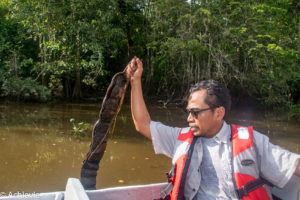 Borneo_Bilit_River-0035