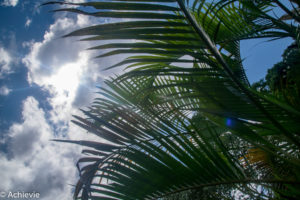 Borneo_Deramakot_chalet-0003