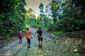 Borneo_Deramakot_landscape-0004